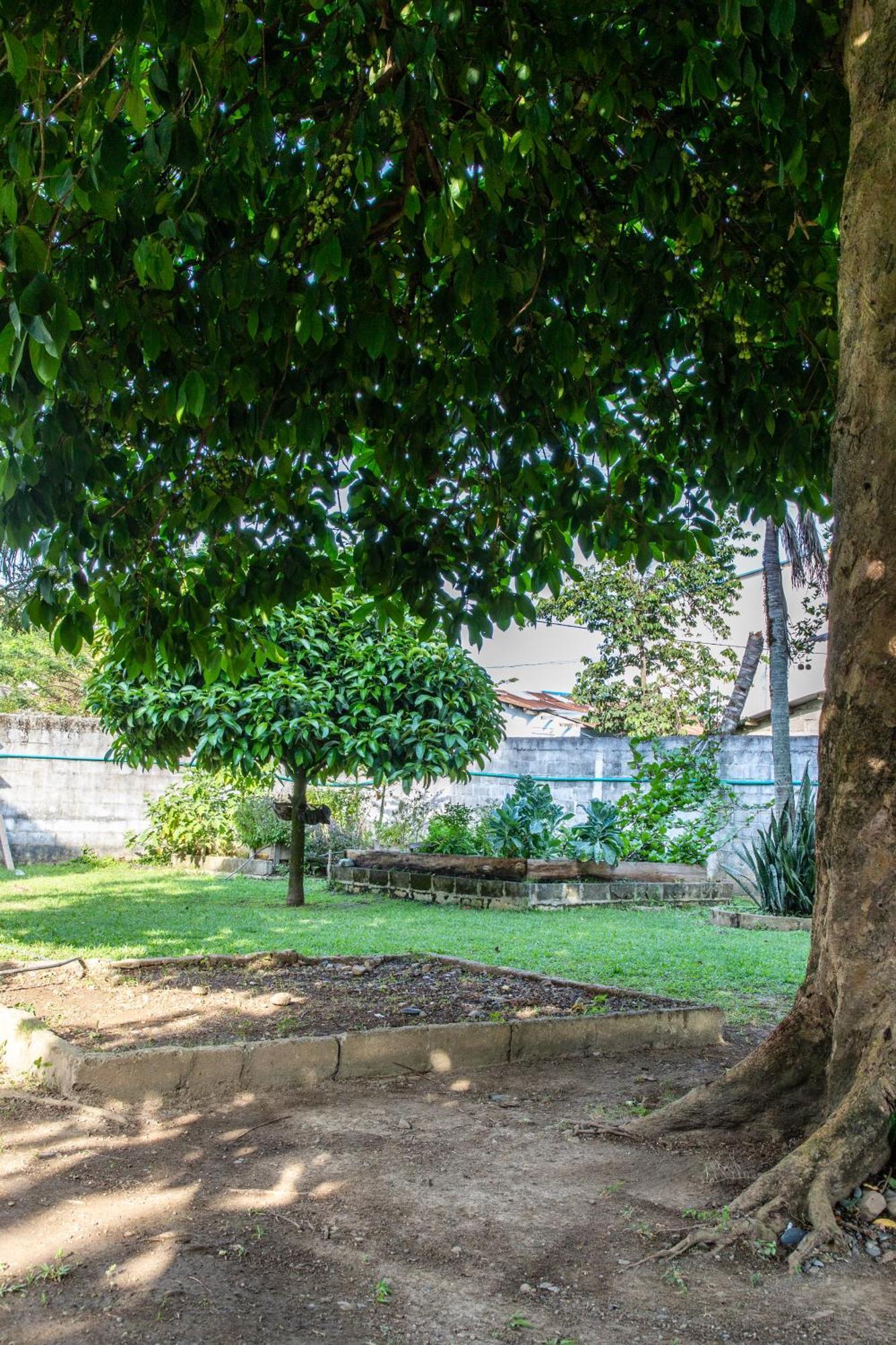 Cabanas Los Almendros Capurganá Exterior foto